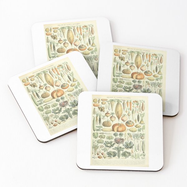 Item preview, French Vegetables Botanical Chart Legumes  designed and sold by TeeARTHY.