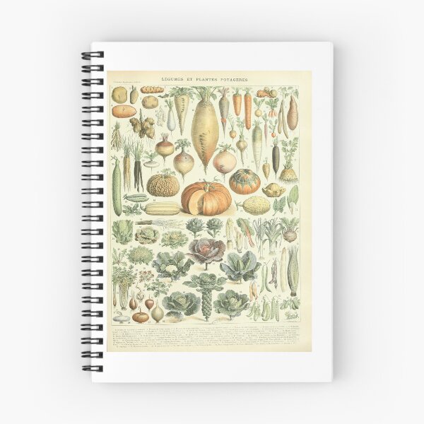 Item preview, French Vegetables Botanical Chart Legumes  designed and sold by TeeARTHY.
