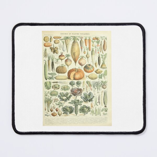 Item preview, French Vegetables Botanical Chart Legumes designed and sold by TeeARTHY.