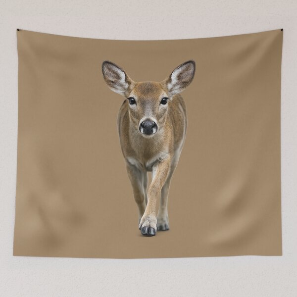Item preview, Doe Approaching Wildlife Portrait designed and sold by BROHLine Studio.