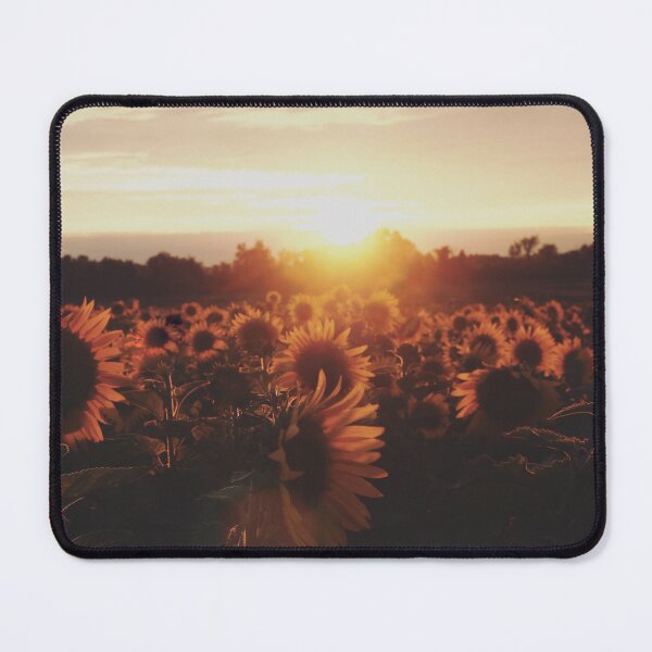 Item preview, Sunflowers at Golden Hour designed and sold by vbrassington.