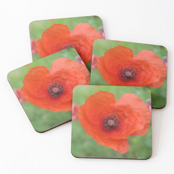 Item preview, Red poppy flower macro - Soft nature photography designed and sold by Cha-s-lens.