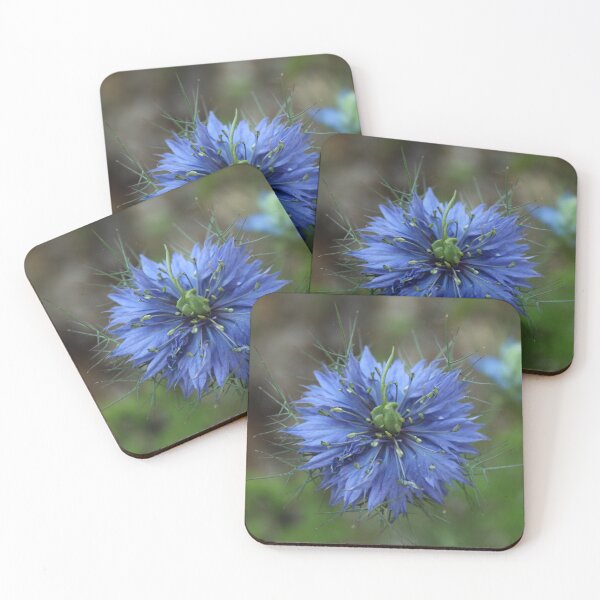 Item preview, Blue nigella flower macro - Dreamy nature photography designed and sold by Cha-s-lens.