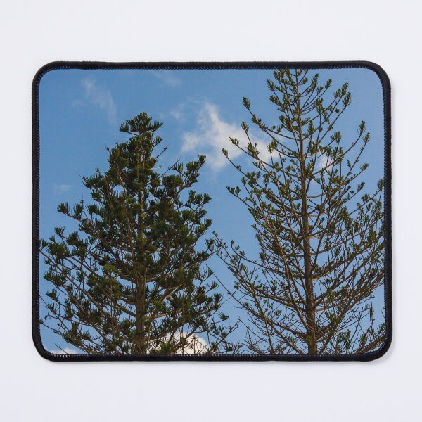 Item preview, Tall Pine Trees Reaching Into A Clear Blue Sky With Scattered White Clouds And Delicate Branches designed and sold by Nmallia.