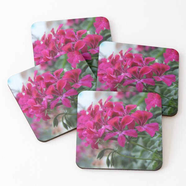 Item preview, Vibrant pink geranium flower - Soft nature photography designed and sold by Cha-s-lens.