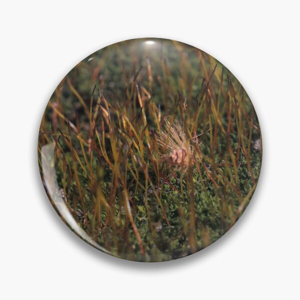 Item preview, Warm Autumn Moss Stalks with Fluffy Seed Macro designed and sold by vikko-art.