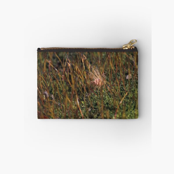 Item preview, Warm Autumn Moss Stalks with Fluffy Seed Macro designed and sold by vikko-art.