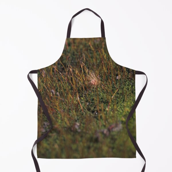 Item preview, Warm Autumn Moss Stalks with Fluffy Seed Macro designed and sold by vikko-art.