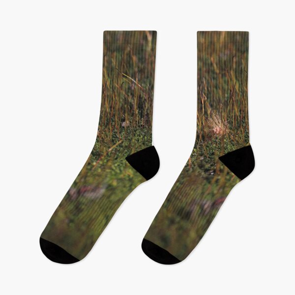 Item preview, Warm Autumn Moss Stalks with Fluffy Seed Macro designed and sold by vikko-art.