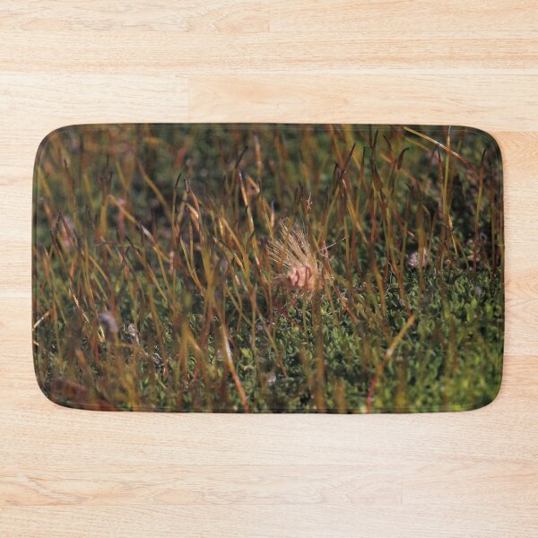 Item preview, Warm Autumn Moss Stalks with Fluffy Seed Macro designed and sold by vikko-art.