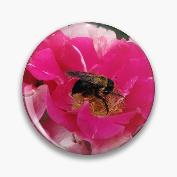 Artikelvorschau, Goldene Bienenstunde entworfen und verkauft von SCTBUFFALOPHOTO.
