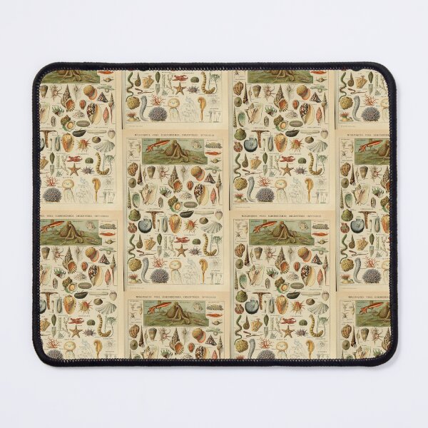 Item preview, Vintage Seashells Marine Invertebrates Poster Adolphe Millot designed and sold by TeeARTHY.