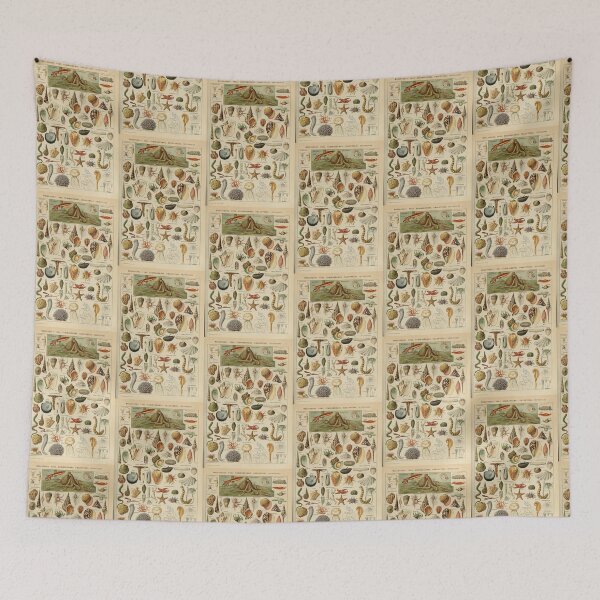 Item preview, Vintage Seashells Marine Invertebrates Poster Adolphe Millot designed and sold by TeeARTHY.