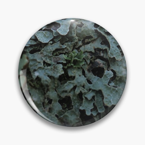 Item preview, Moody Foliose Lichen Forest Texture Macro designed and sold by vikko-art.