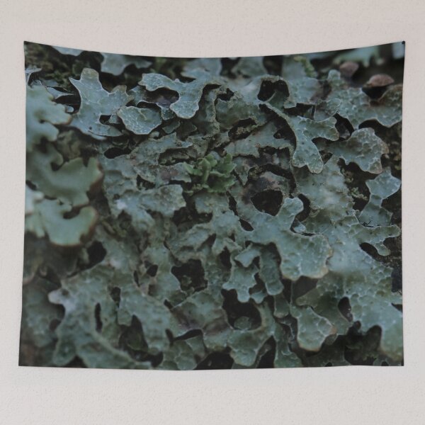 Item preview, Moody Foliose Lichen Forest Texture Macro designed and sold by vikko-art.