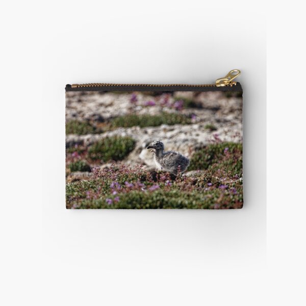 Item preview, Yellow-Legged Gulls in Spain (6) designed and sold by TomRomanPhotos.