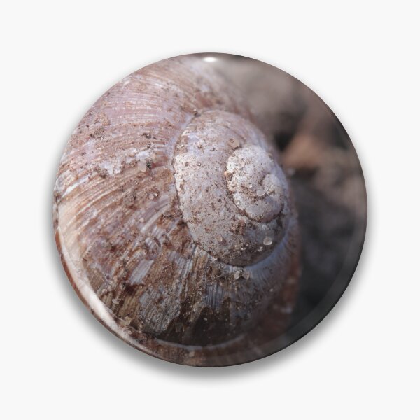 Item preview, Rustic Forest Snail Shell Macro Photography designed and sold by vikko-art.