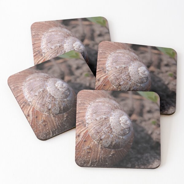 Item preview, Rustic Forest Snail Shell Macro Photography designed and sold by vikko-art.