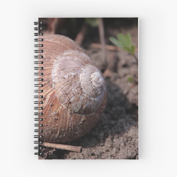 Item preview, Rustic Forest Snail Shell Macro Photography designed and sold by vikko-art.