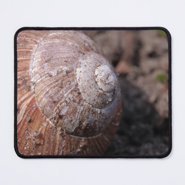 Item preview, Rustic Forest Snail Shell Macro Photography designed and sold by vikko-art.