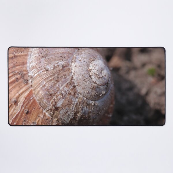 Item preview, Rustic Forest Snail Shell Macro Photography designed and sold by vikko-art.