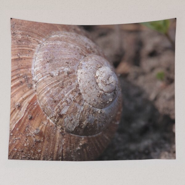 Item preview, Rustic Forest Snail Shell Macro Photography designed and sold by vikko-art.