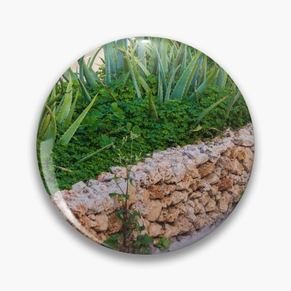 Item preview, Aloe Vera Succulent Garden Behind Rustic Stone Wall On Tiled Patio In Mediterranean Yard designed and sold by Nmallia.