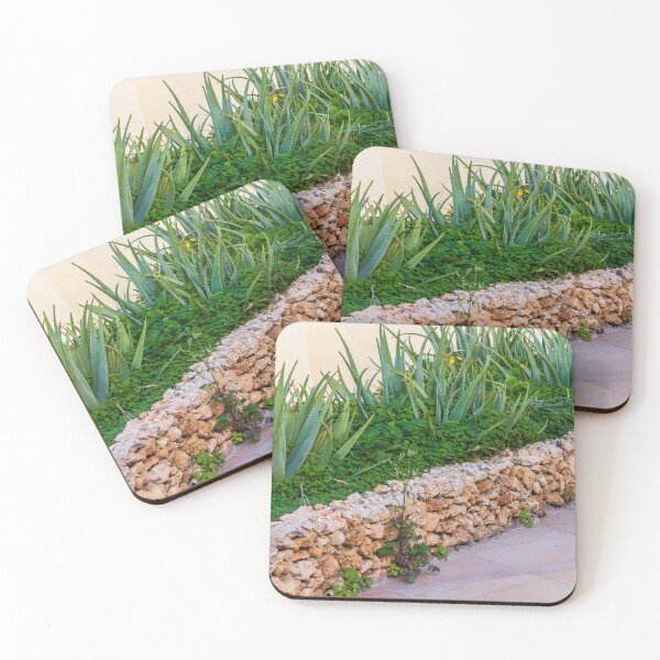 Item preview, Aloe Vera Succulent Garden Behind Rustic Stone Wall On Tiled Patio In Mediterranean Yard designed and sold by Nmallia.