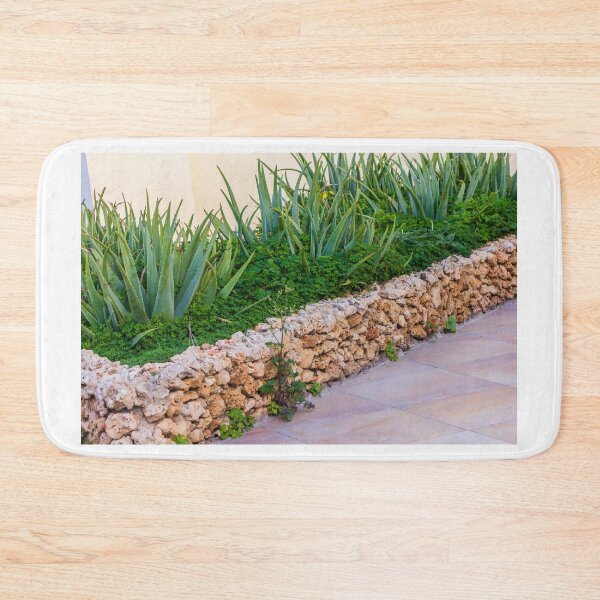 Item preview, Aloe Vera Succulent Garden Behind Rustic Stone Wall On Tiled Patio In Mediterranean Yard designed and sold by Nmallia.