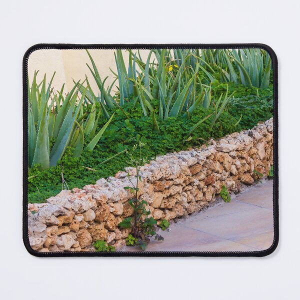 Item preview, Aloe Vera Succulent Garden Behind Rustic Stone Wall On Tiled Patio In Mediterranean Yard designed and sold by Nmallia.