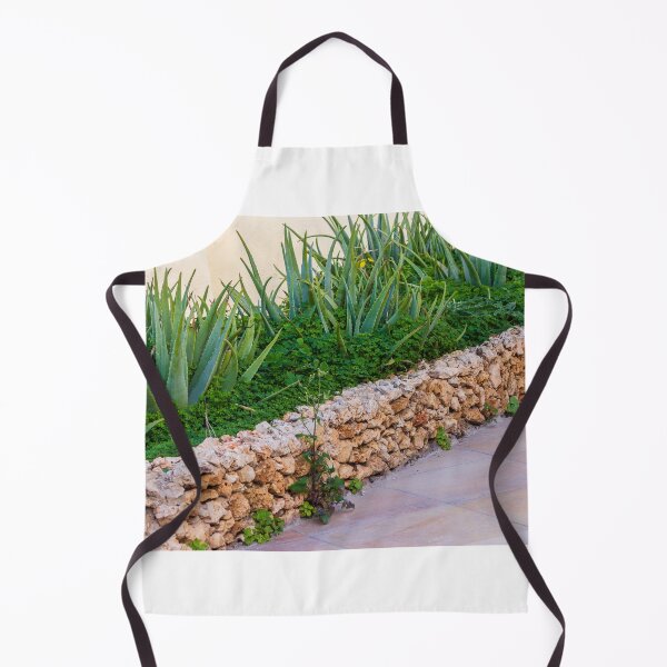 Item preview, Aloe Vera Succulent Garden Behind Rustic Stone Wall On Tiled Patio In Mediterranean Yard designed and sold by Nmallia.