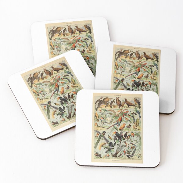 Item preview, Vintage Birds Parrots And Raptors Poster Adolphe Millot designed and sold by TeeARTHY.