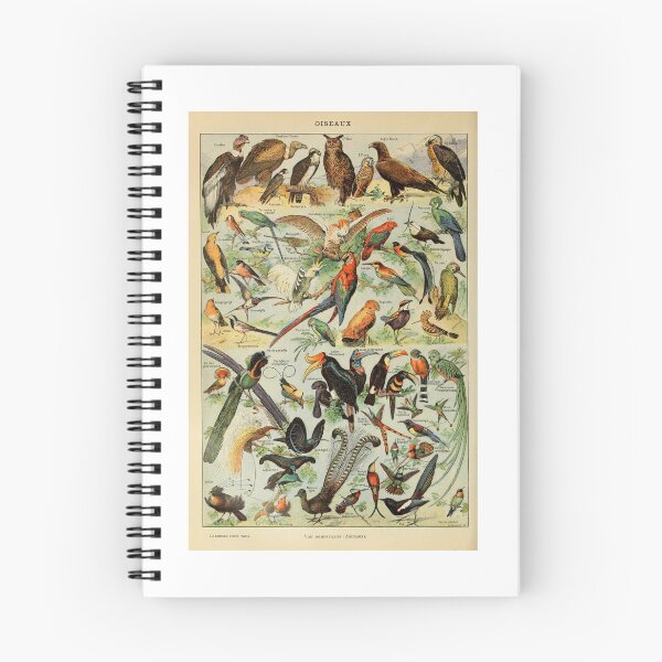 Item preview, Vintage Birds Parrots And Raptors Poster Adolphe Millot designed and sold by TeeARTHY.