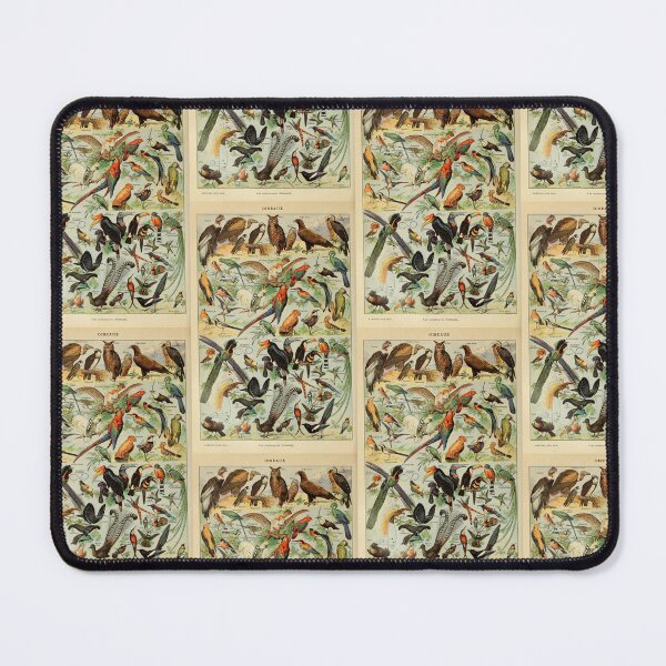 Item preview, Vintage Birds Parrots And Raptors Poster Adolphe Millot designed and sold by TeeARTHY.