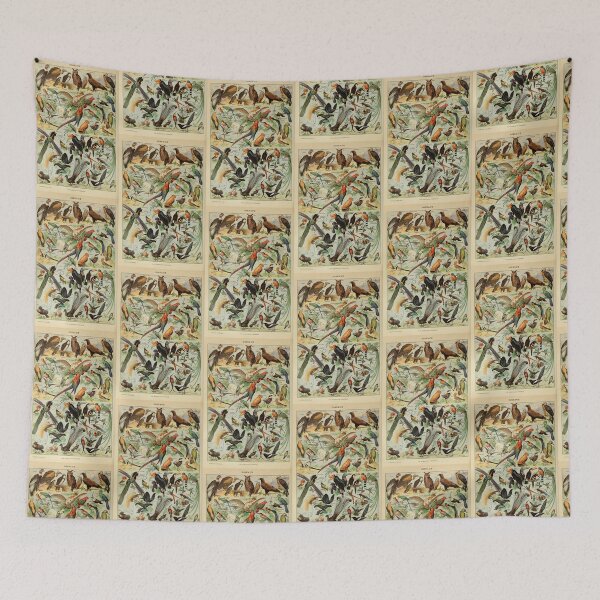 Item preview, Vintage Birds Parrots And Raptors Poster Adolphe Millot designed and sold by TeeARTHY.