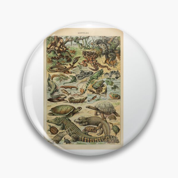 Item preview,  Vintage Reptiles Amphibians Crocodile Snakes Adolphe Millot designed and sold by TeeARTHY.