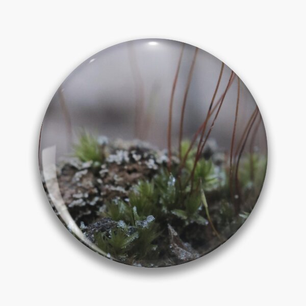 Artikelvorschau, Makroaufnahme von bereiftem Waldmoos und Sporophytenstängeln entworfen und verkauft von vikko-art.