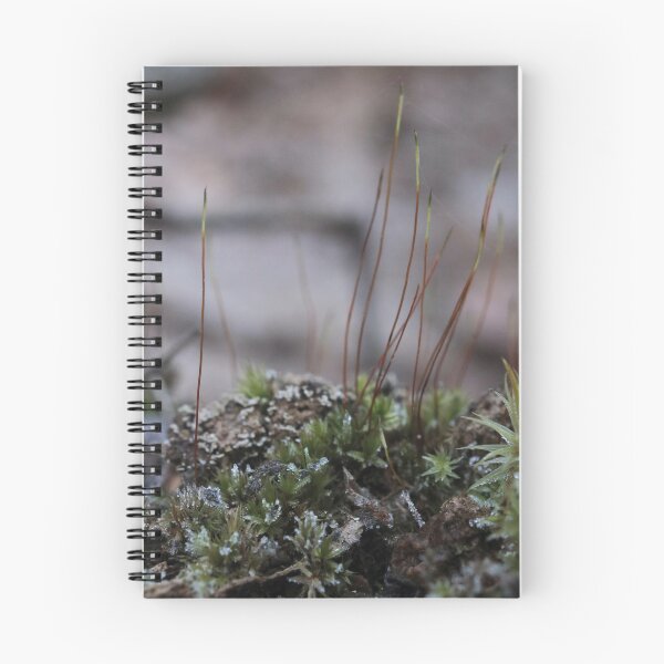 Artikelvorschau, Makroaufnahme von bereiftem Waldmoos und Sporophytenstängeln entworfen und verkauft von vikko-art.