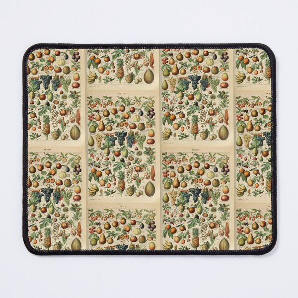 Item preview, Vintage Botanical Fruit Chart Fruits Poster Adolphe Millot designed and sold by TeeARTHY.