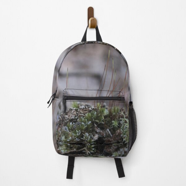 Item preview, Frosted Forest Moss and Sporophyte Stalks Macro designed and sold by vikko-art.
