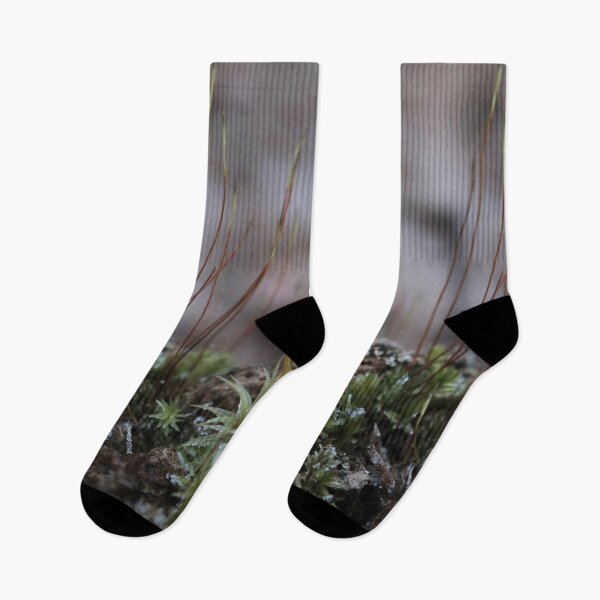 Item preview, Frosted Forest Moss and Sporophyte Stalks Macro designed and sold by vikko-art.