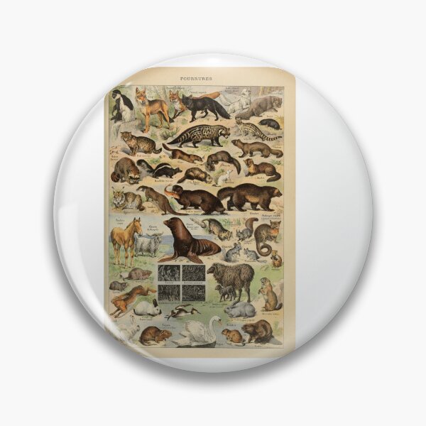 Item preview, Vintage Carnivores Wild Mammals Poster Adolphe Millot designed and sold by TeeARTHY.