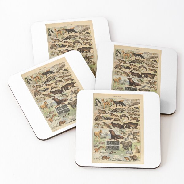 Item preview, Vintage Carnivores Wild Mammals Poster Adolphe Millot designed and sold by TeeARTHY.