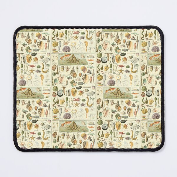 Item preview, Vintage Seashells Marine Invertebrates Chart Adolphe Millot designed and sold by TeeARTHY.