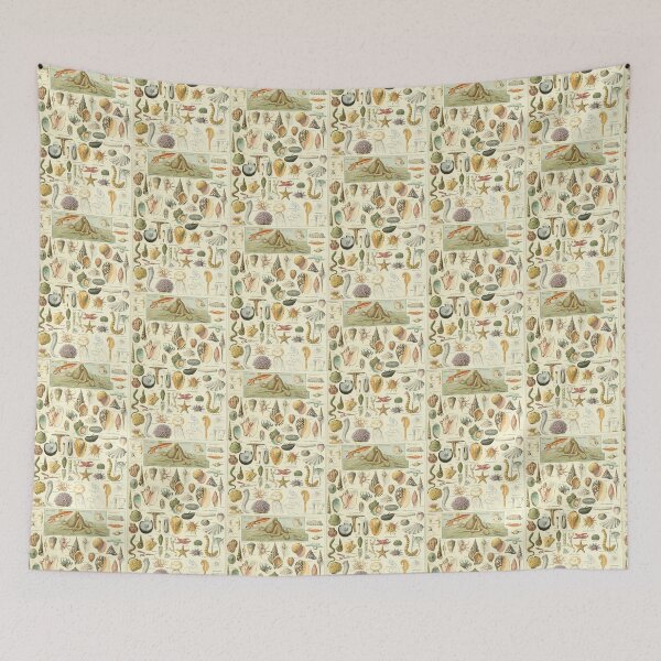 Item preview, Vintage Seashells Marine Invertebrates Chart Adolphe Millot designed and sold by TeeARTHY.