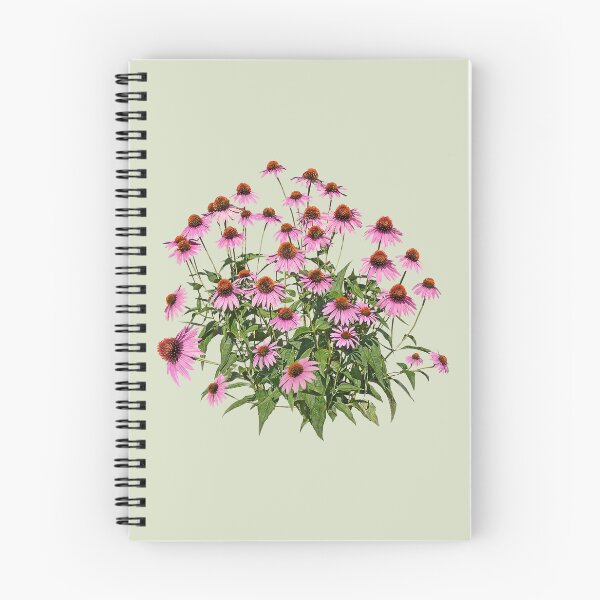 Item preview, Group of Pink Coneflowers designed and sold by Susan Savad.