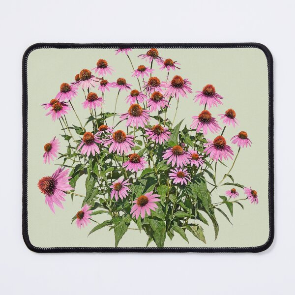 Item preview, Group of Pink Coneflowers designed and sold by Susan Savad.