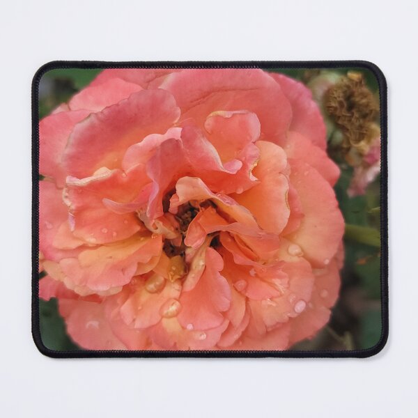 Item preview, Orange Rose designed and sold by SCTBUFFALOPHOTO.