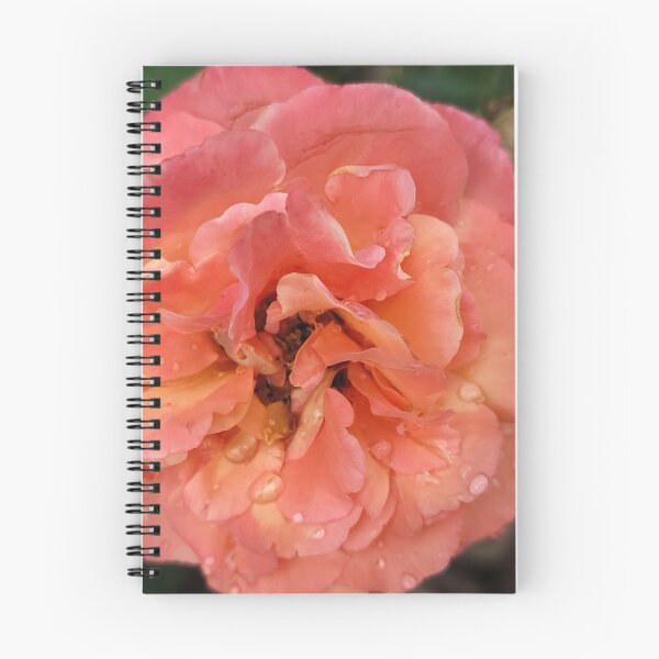 Item preview, Orange Rose designed and sold by SCTBUFFALOPHOTO.