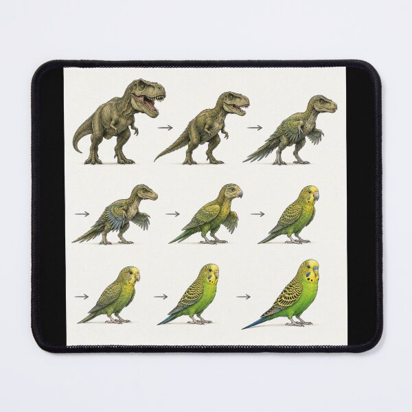 Item preview, From T-Rex to Budgie – Evolution Got Adorable designed and sold by LegademaArt.